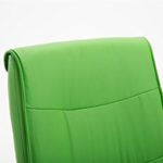 CLP Esszimmerstuhl CARO V2 mit Kunstlederbezug und hochwertiger Sitzfläche | Strapazierbarer und pflegeleichter Besucherstuhl mit Armlehne | Bürosessel mit Metallgestell in Chrom-Optik und Bodenschonern | In verschiedenen Farben erhältlich Grün